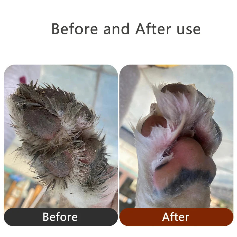 dog paw cleaner cup in green, orange and blue on clean modern background